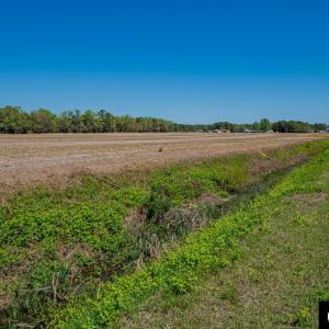 Photo #45 of 7267 Caratoke Highway, Jarvisburg, NC 1.0 acres