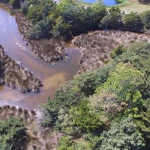 Photo #9 of NC Highway 12, Salvo, NC 1.6 acres
