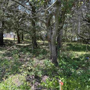 Photo #1 of TBD Creek Point Road, Ocracoke, NC 0.2 acres