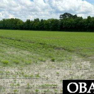 Photo #9 of TBD Tulls Creek Road, Moyock, NC