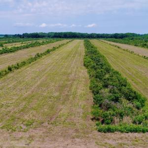 Photo #20 of Magnolia Road, Columbia, NC