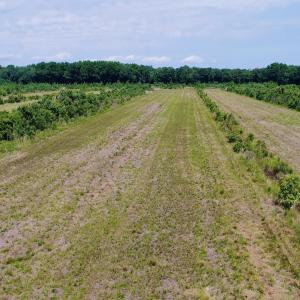 Photo #17 of Magnolia Road, Columbia, NC