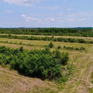 Photo #12 of Magnolia Road, Columbia, NC