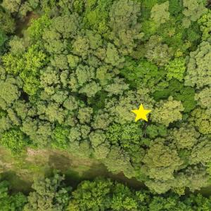 Photo #8 of 5301 Maple Court, Kitty Hawk, NC 0.7 acres