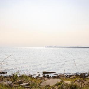 Photo #8 of 1327 Kitty Hawk Road, Kitty Hawk, NC 14.5 acres