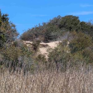 Possible House Site?