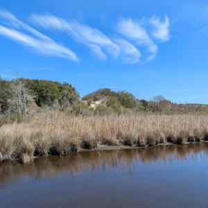 Possible House Site?