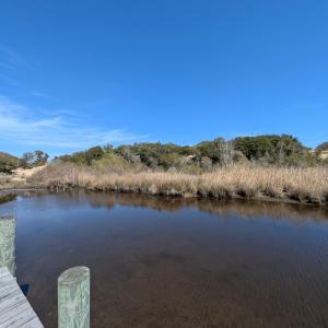 Possible House Site?