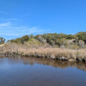 Possible House Site?