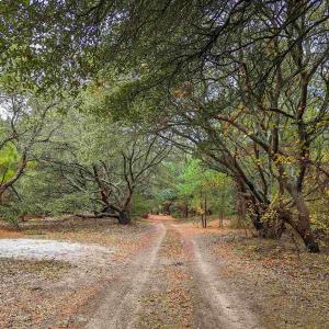 Photo #12 of 2386 Carova Road, Corolla, NC 0.3 acres