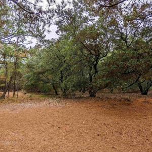 Photo #2 of 2386 Carova Road, Corolla, NC 0.3 acres