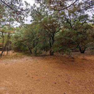 Photo #3 of 2386 Carova Road, Corolla, NC 0.3 acres