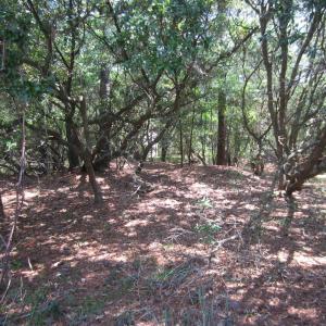 Photo #7 of 134 Goose Feather Lane, Southern Shores, NC 0.5 acres
