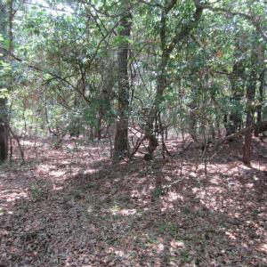 Photo #12 of 134 Goose Feather Lane, Southern Shores, NC 0.5 acres