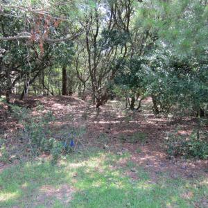 Photo #5 of 134 Goose Feather Lane, Southern Shores, NC 0.5 acres