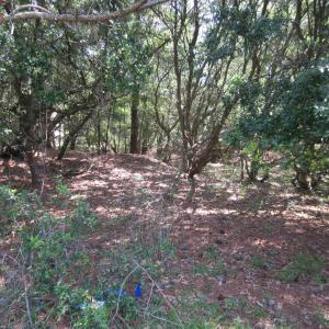 Photo #11 of 134 Goose Feather Lane, Southern Shores, NC 0.5 acres