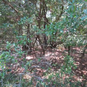 Photo #14 of 134 Goose Feather Lane, Southern Shores, NC 0.5 acres