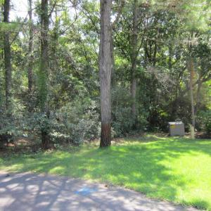 Photo #19 of 134 Goose Feather Lane, Southern Shores, NC 0.5 acres