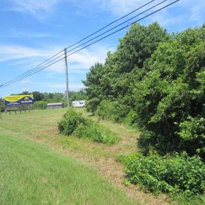 Photo #5 of 7167 Caratoke Highway, Jarvisburg, NC 1.5 acres