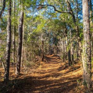 Photo #4 of Kitty Hawk Road, Kitty Hawk, NC 11.8 acres