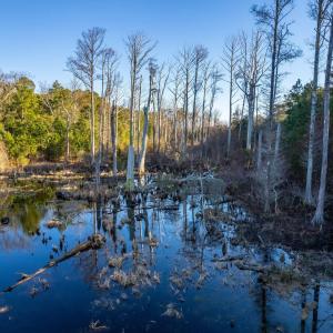 Photo #8 of Kitty Hawk Road, Kitty Hawk, NC 11.8 acres