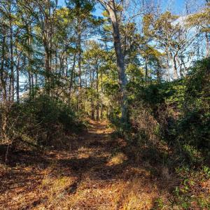 Photo #3 of Kitty Hawk Road, Kitty Hawk, NC 11.8 acres