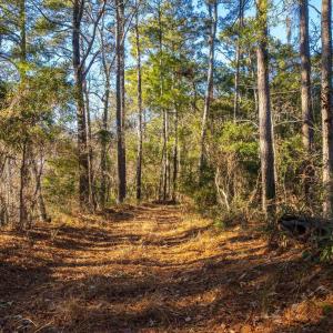 Photo #5 of Kitty Hawk Road, Kitty Hawk, NC 11.8 acres