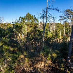 Photo #9 of Kitty Hawk Road, Kitty Hawk, NC 11.8 acres