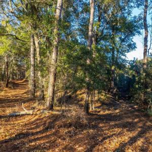 Photo #6 of Kitty Hawk Road, Kitty Hawk, NC 11.8 acres