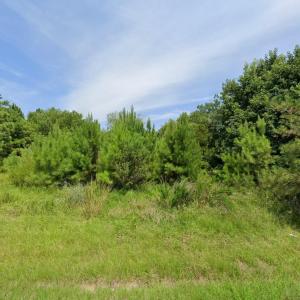 Photo #9 of 1035 Corolla Drive, Corolla, NC 0.5 acres