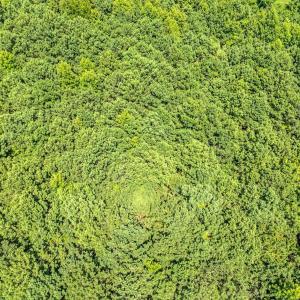 Photo #16 of 6842 Caratoke Highway, Grandy, NC 11.5 acres