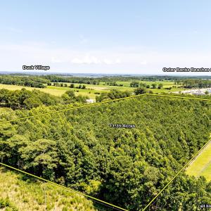 Photo #7 of 6842 Caratoke Highway, Grandy, NC 11.5 acres