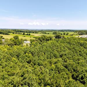 Photo #12 of 6842 Caratoke Highway, Grandy, NC 11.5 acres