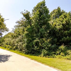 Photo #15 of 6842 Caratoke Highway, Grandy, NC 11.5 acres