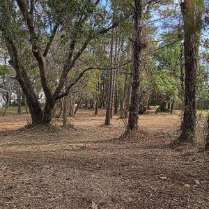 Wrightsville Ave View