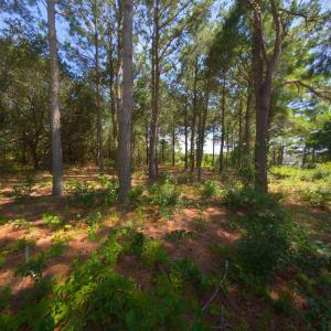 Photo #9 of 918 Plover Court, Corolla, NC