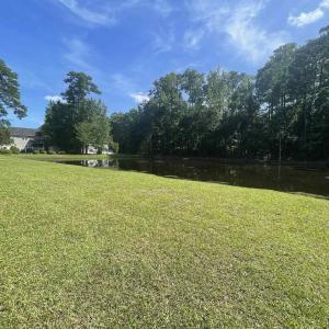 Pond