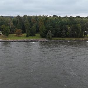 Photo #8 of 467 Summerby Road, Roper, NC 1.5 acres