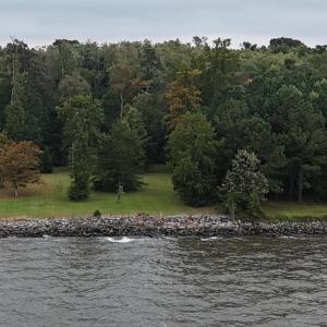 Photo #7 of 467 Summerby Road, Roper, NC 1.5 acres