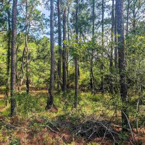 Photo #5 of 2364 Swan Island Road, Corolla, NC 0.3 acres
