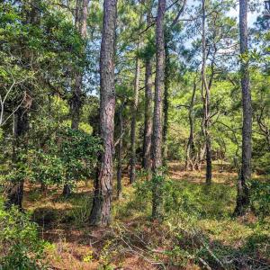 Photo #6 of 2364 Swan Island Road, Corolla, NC 0.3 acres