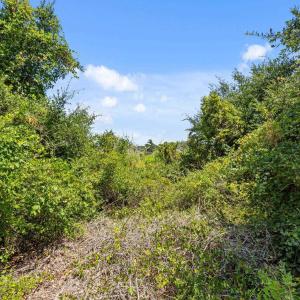 Photo #15 of 50748 Timber Trail, Frisco, NC 0.2 acres