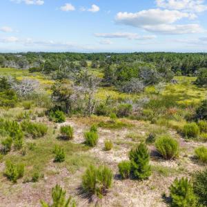 Photo #13 of 50762 Timber Trail, Frisco, NC 0.2 acres