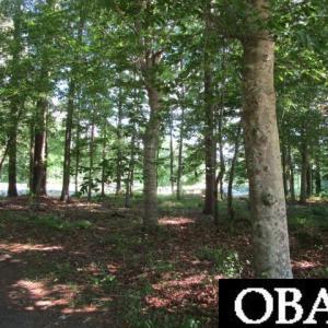 Photo #4 of Roanoke Drive, Hertford, NC 0.4 acres