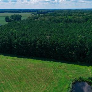 Photo #1 of TBD Caratoke Highway, Moyock, NC 14.5 acres