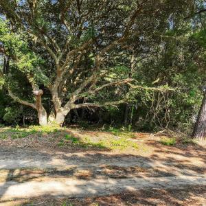 Photo #2 of 2379 Carova Road, Corolla, NC