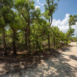 Photo #6 of 2272 Bluefish Crescent, Corolla, NC