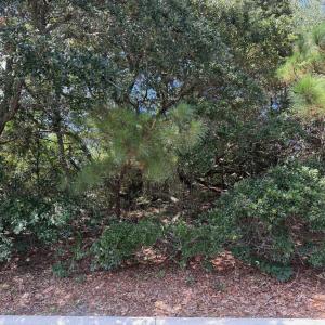 Photo #6 of 131 Brandon Court, Duck, NC 0.4 acres