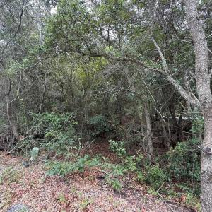 Photo #11 of 131 Brandon Court, Duck, NC 0.4 acres