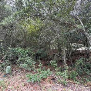 Photo #15 of 131 Brandon Court, Duck, NC 0.4 acres